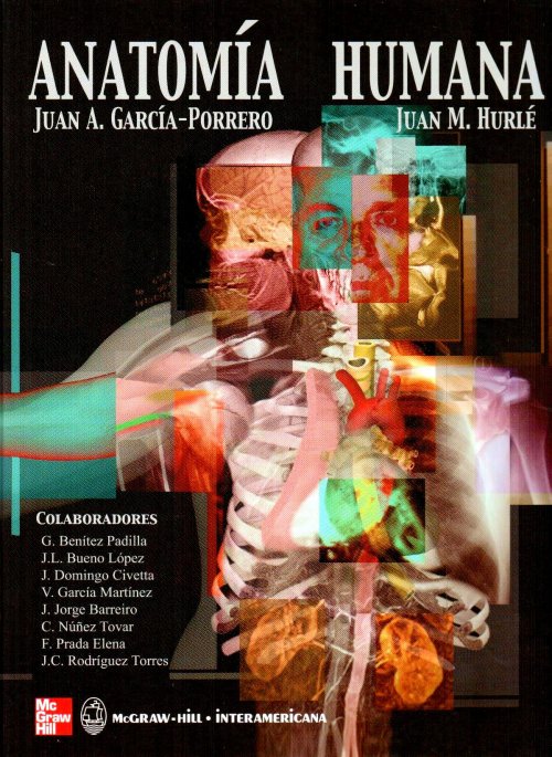 Anatomia Humana Quiroz Pdf Gratis